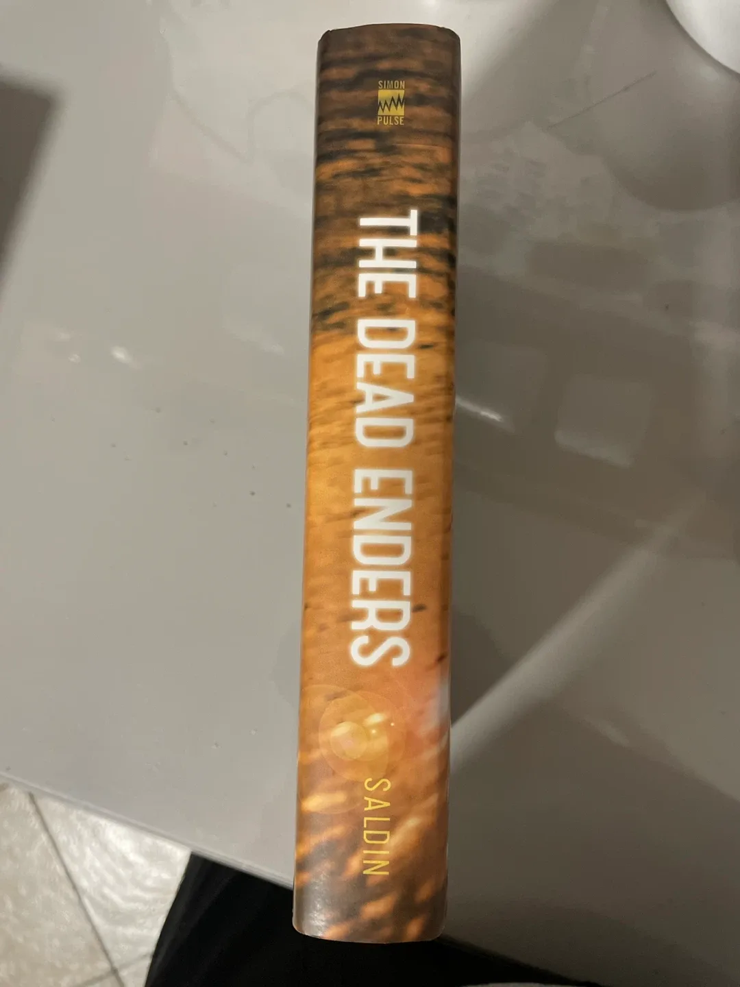 The Dead Enders by Erin Saldin image indicator(3)