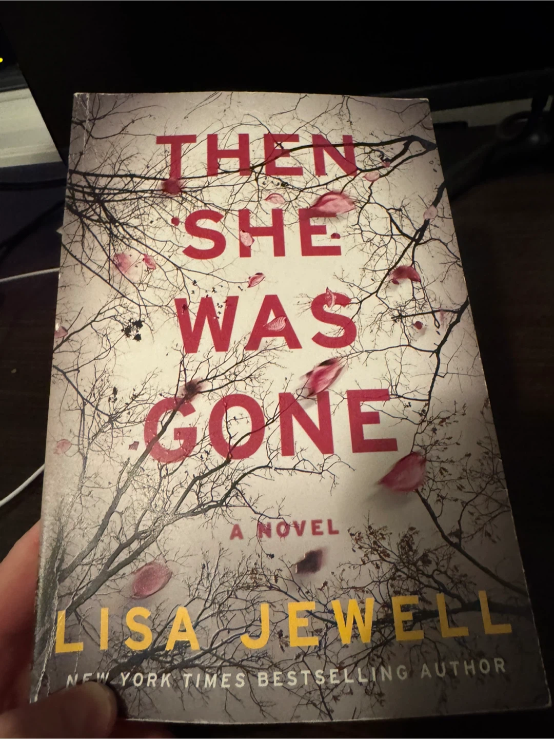 6 Novels: The Woman in the Window, Then She Was Gone, etc - photo 5