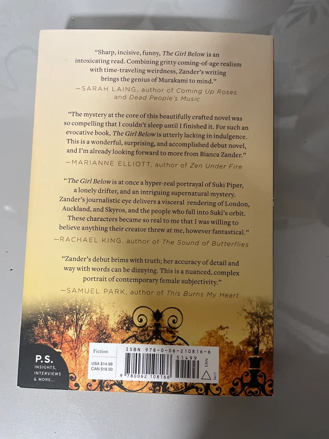 The Girl Below by Bianca Zander image indicator(2)