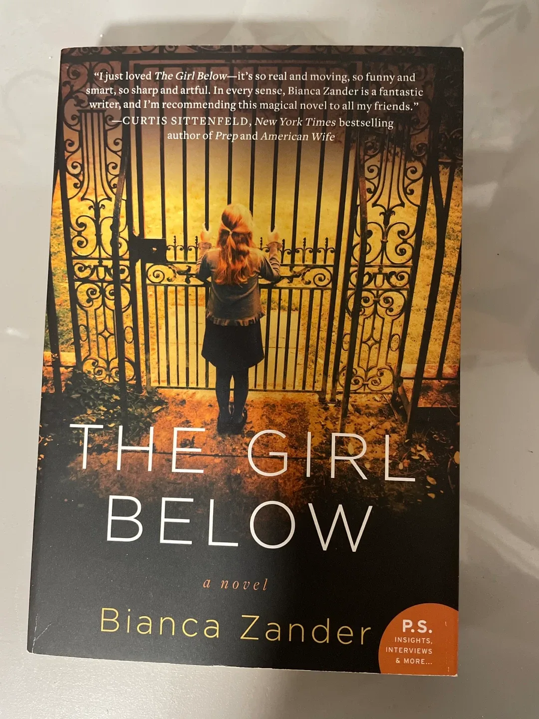 The Girl Below by Bianca Zander