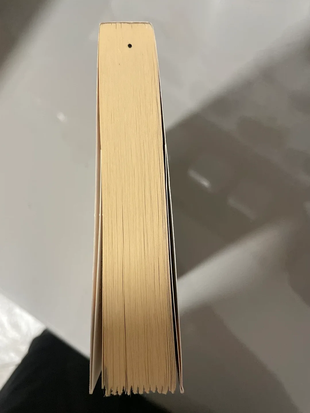 The Girl Below by Bianca Zander image indicator(4)