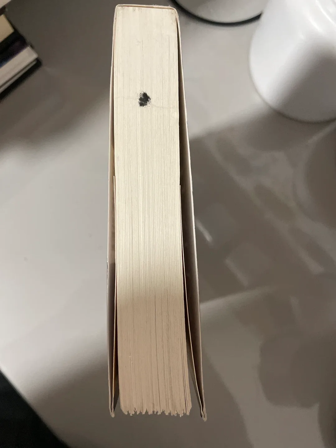 The Guest Room by Chris Bohjalian image indicator(4)