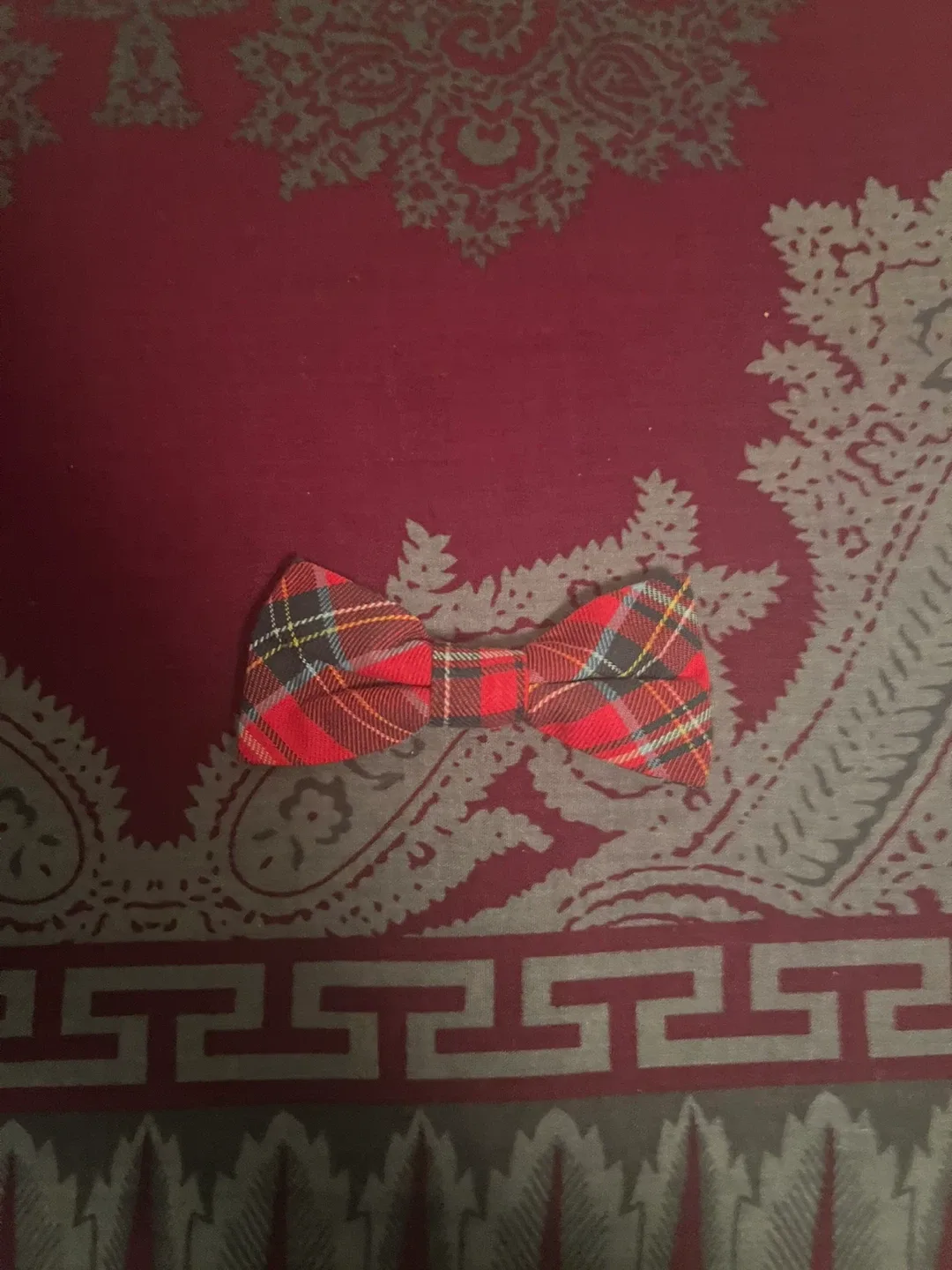 Assorted Ties and Bow Ties