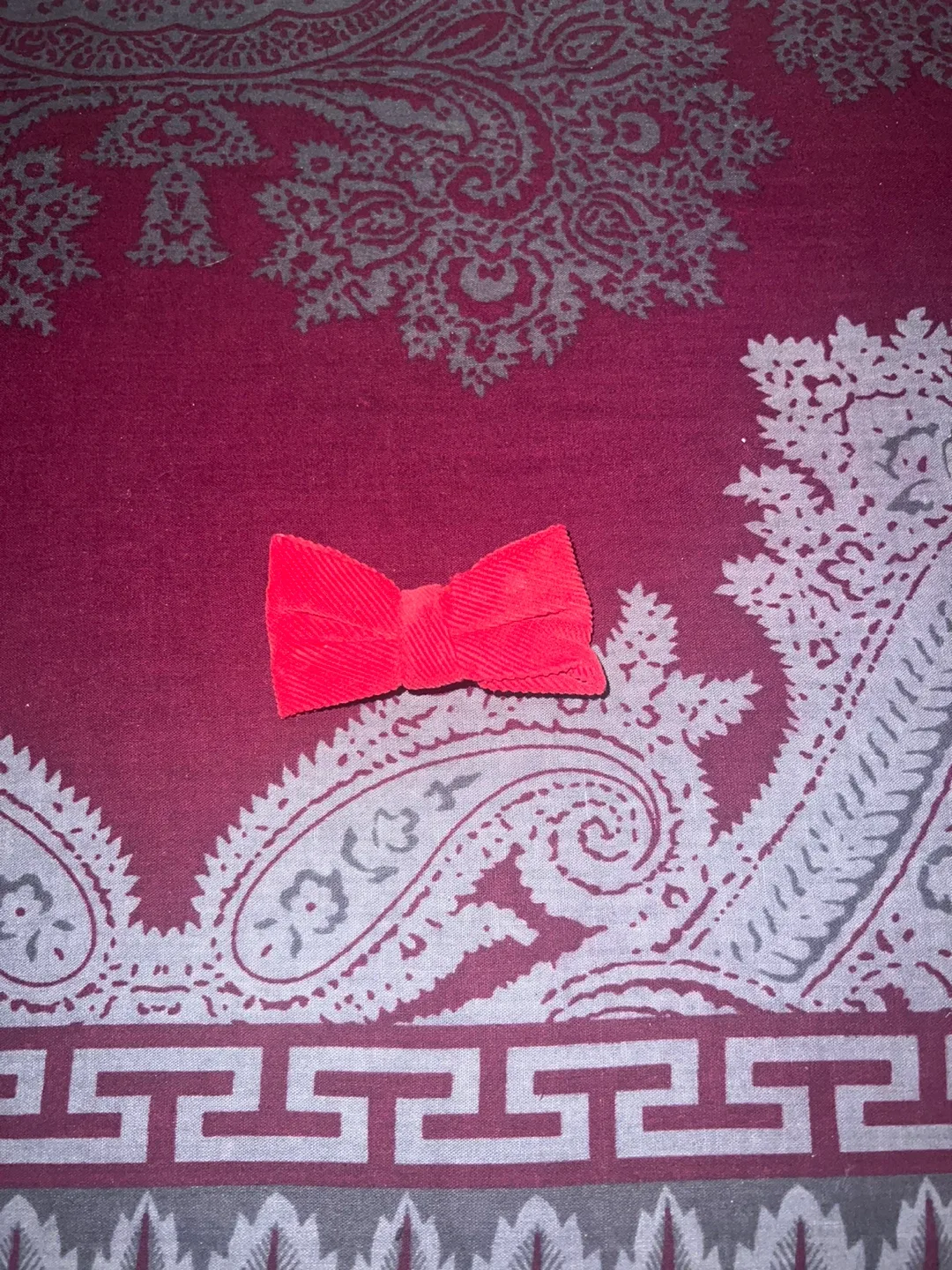 Assorted Ties and Bow Ties image indicator(5)