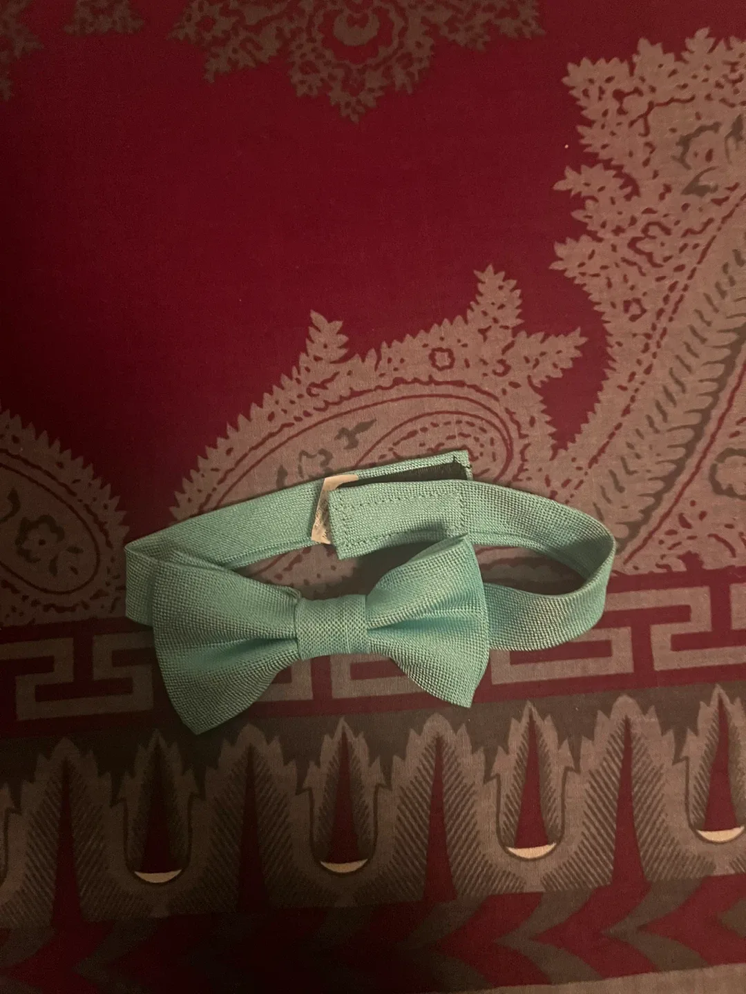 Assorted Ties and Bow Ties image indicator(10)