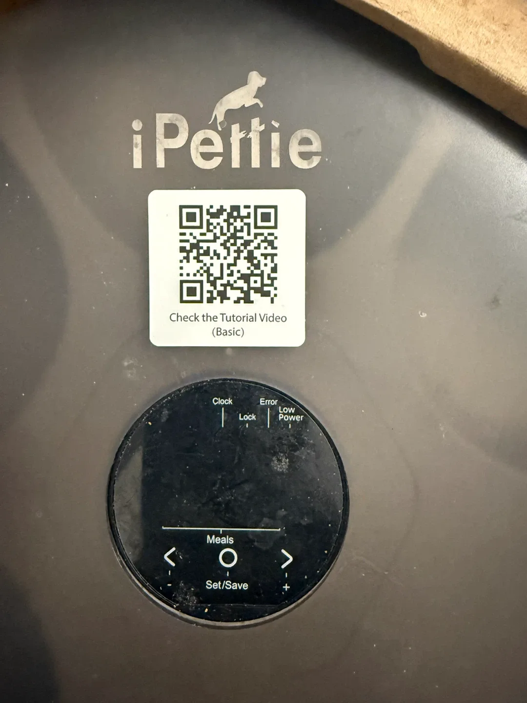 iPettie Donut Frost 6-Meal Automatic Pet Feeder