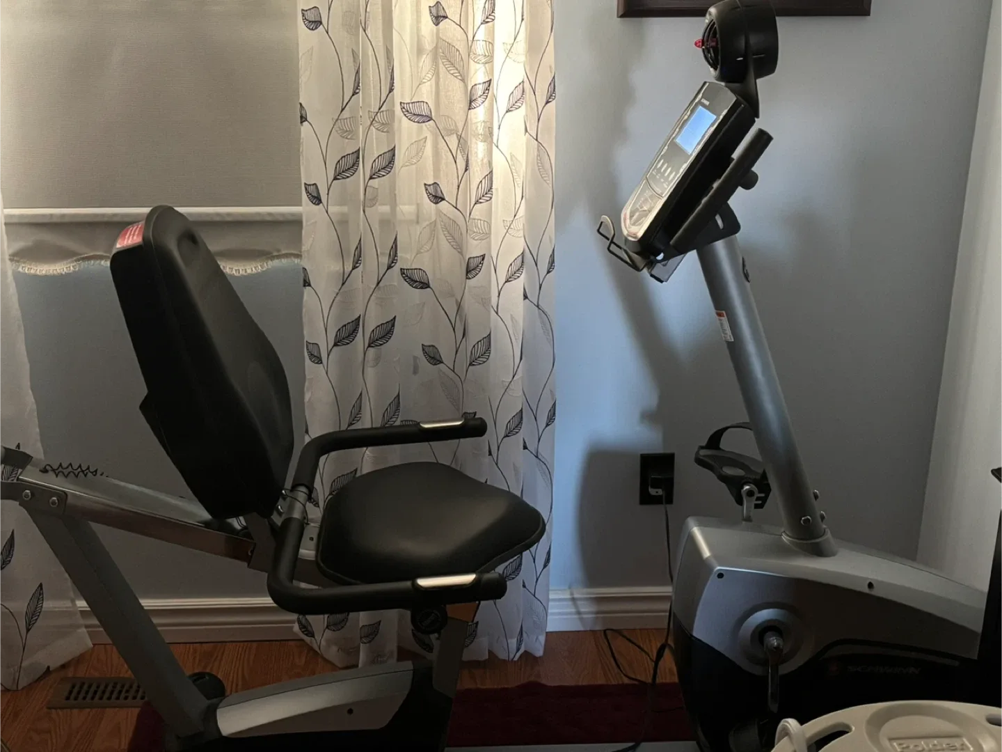 Schwinn Recumbent Bike
