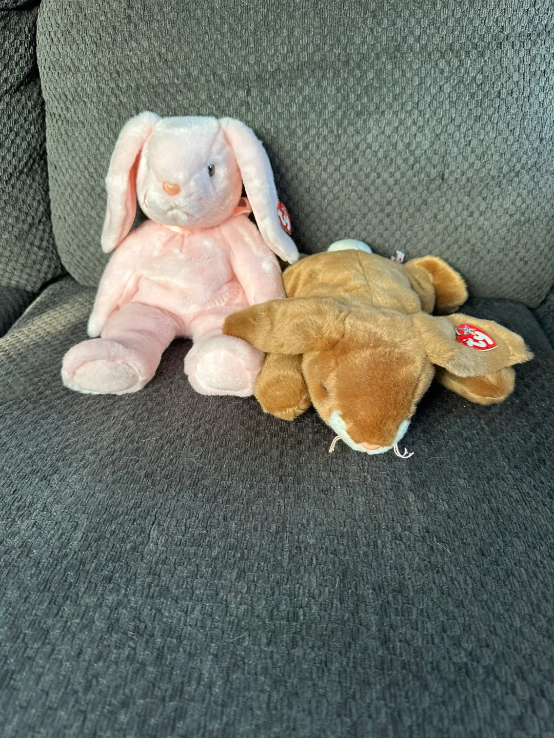 Ty Beanie Buddies Collection image indicator(5)