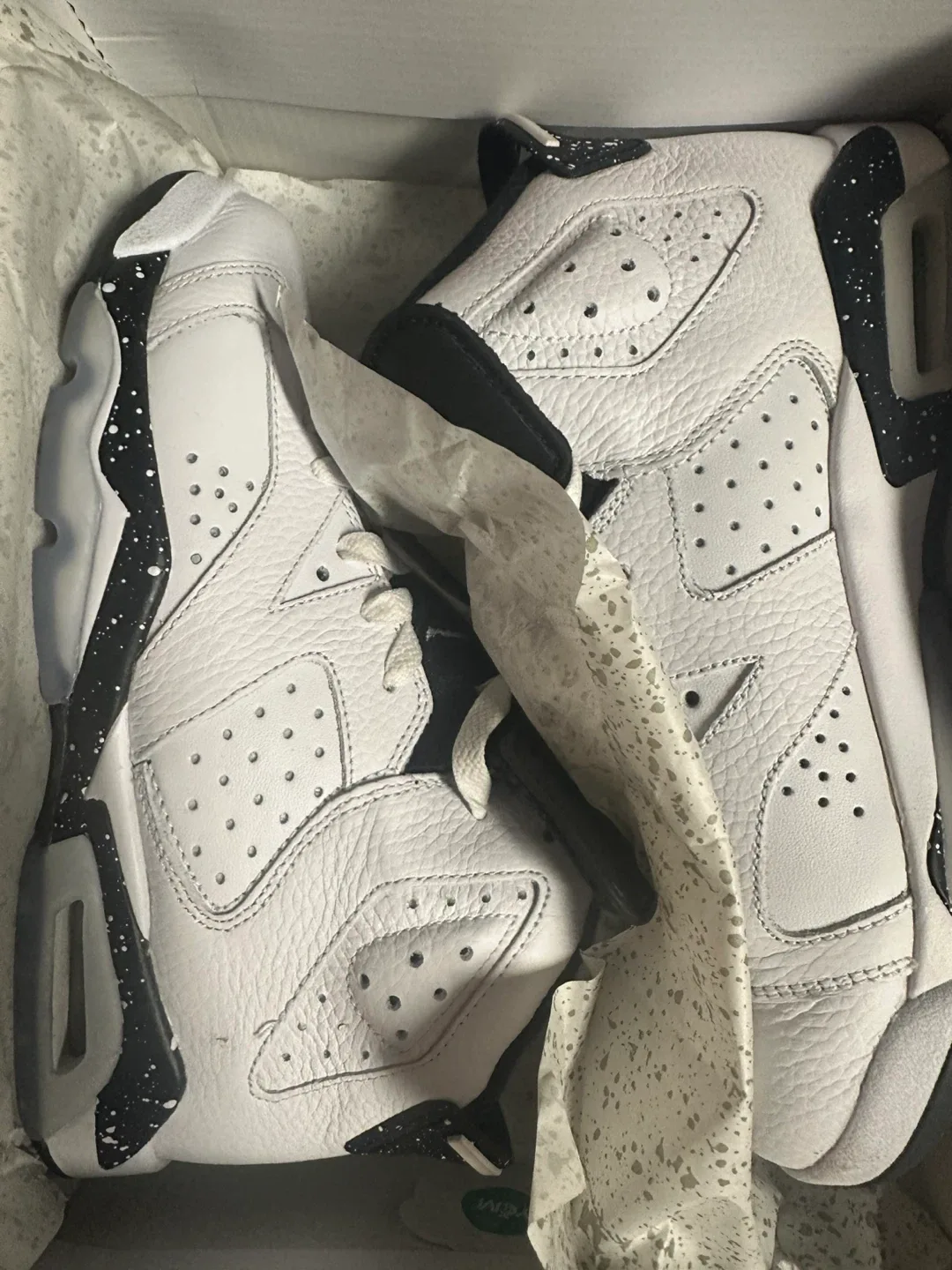 Nike Air Jordan 6 Retro