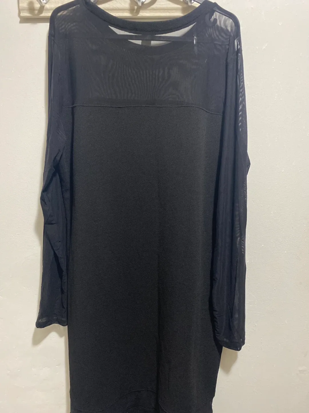 Black Sheer Long Sleeve Dress image indicator(4)