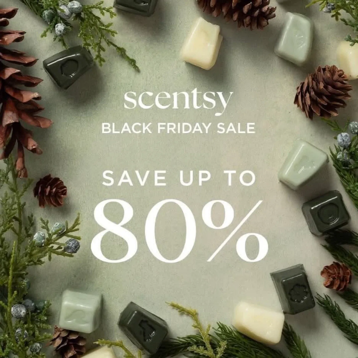 🚨SCENTSY SALE🚨 Nov.25