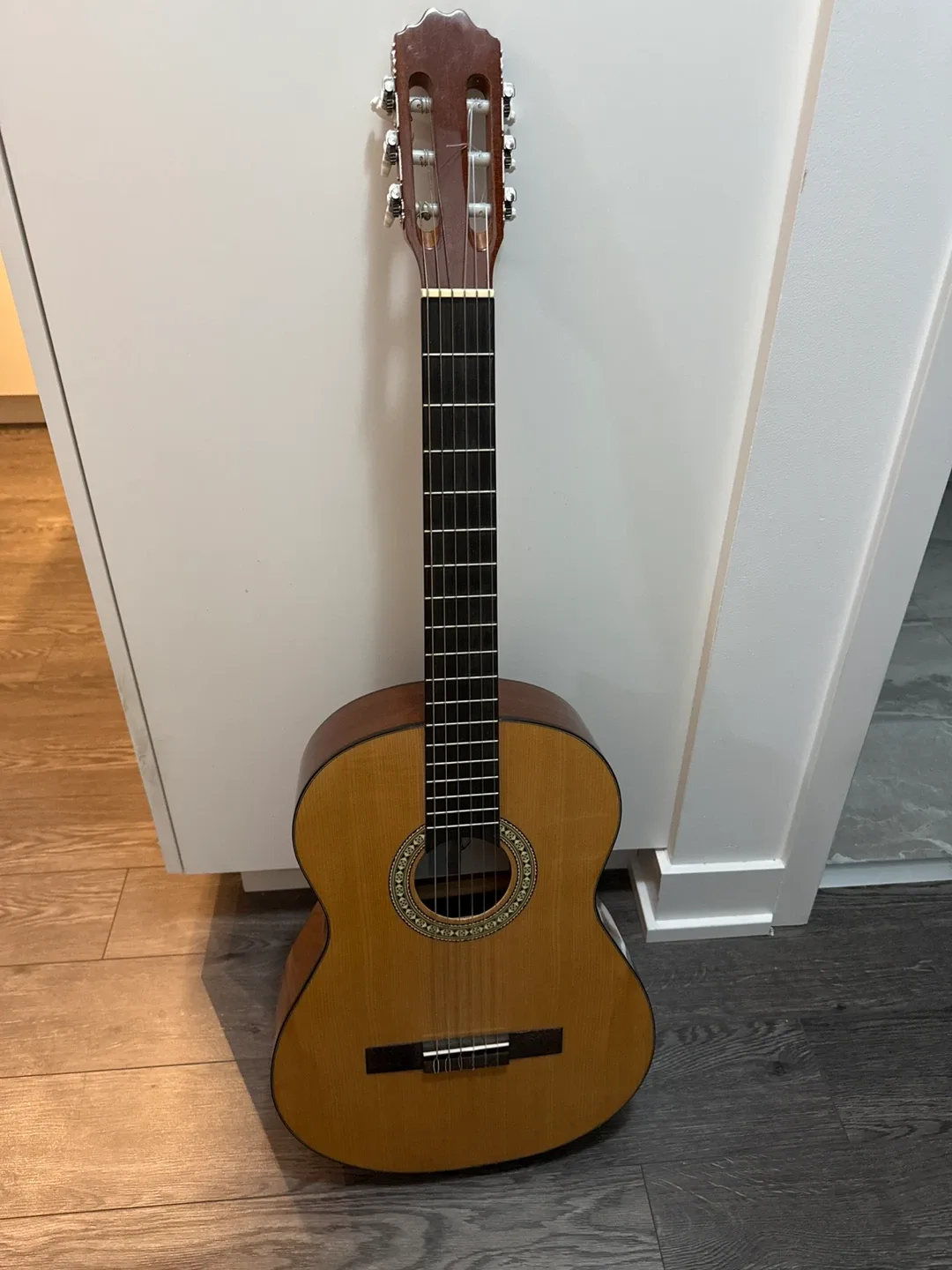 Classical Acoustic Guitar