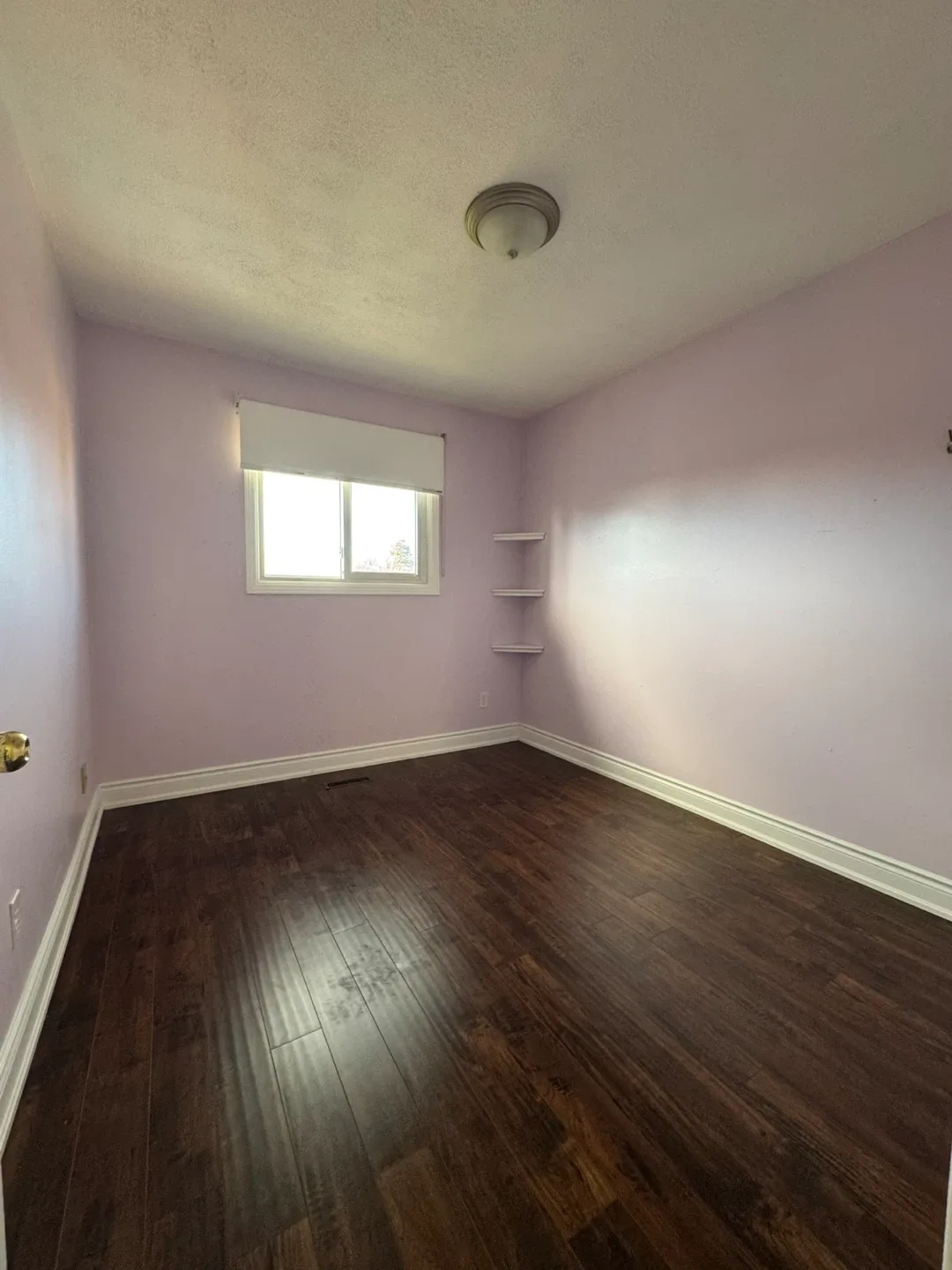 Upper level House for rent $2500 image indicator(8)