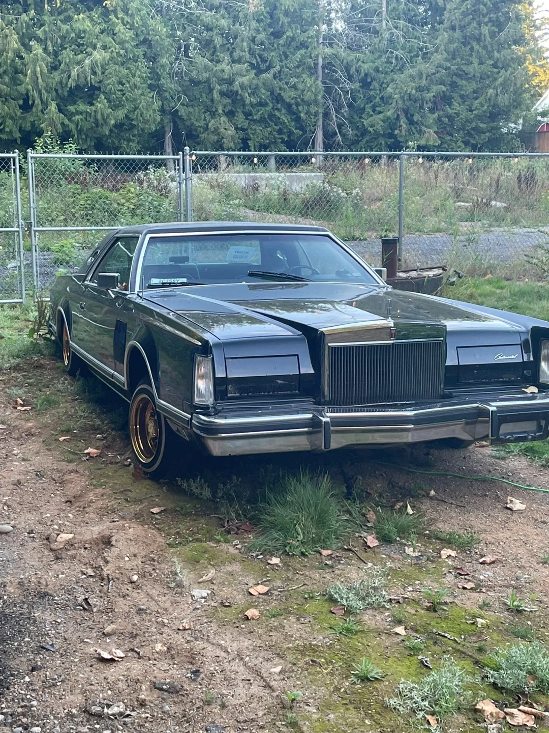 1979 Lincoln Continental image indicator(2)