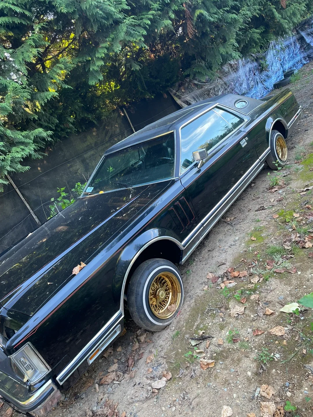 1979 Lincoln Continental