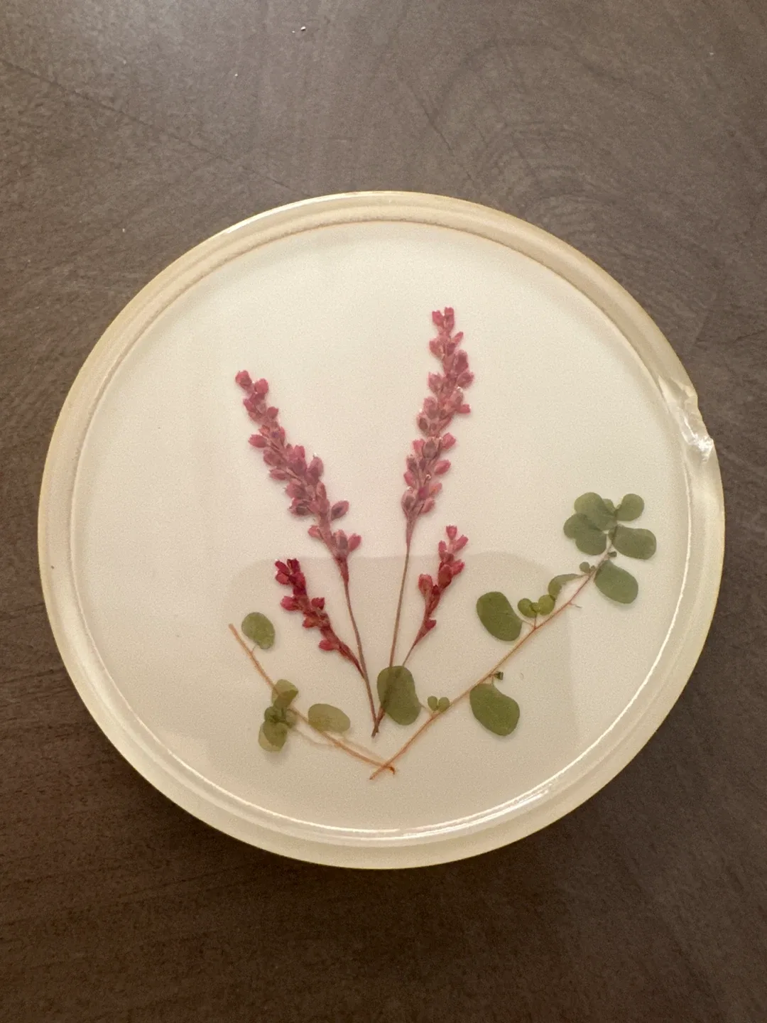 Handmade Botanical Resin Coasters (Set of 6) image indicator(3)