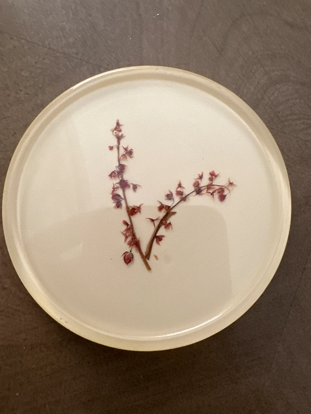 Handmade Botanical Resin Coasters (Set of 6) image indicator(4)