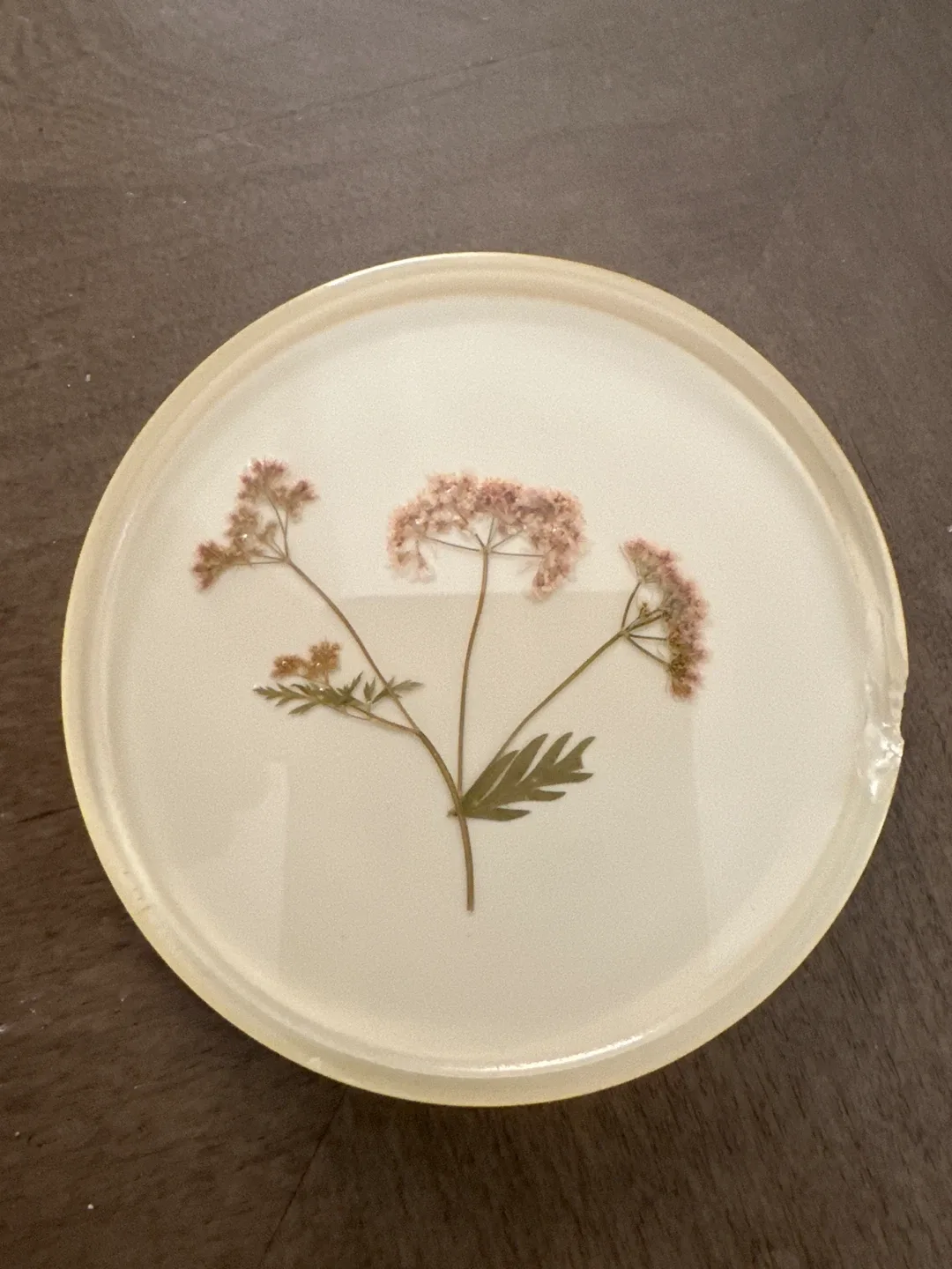 Handmade Botanical Resin Coasters (Set of 6) image indicator(6)