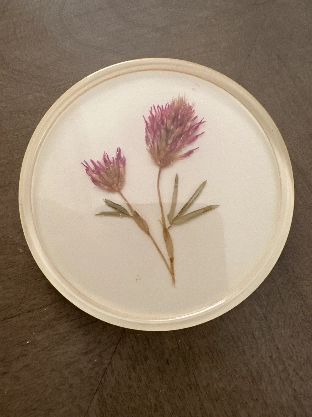 Handmade Botanical Resin Coasters (Set of 6) image indicator(7)