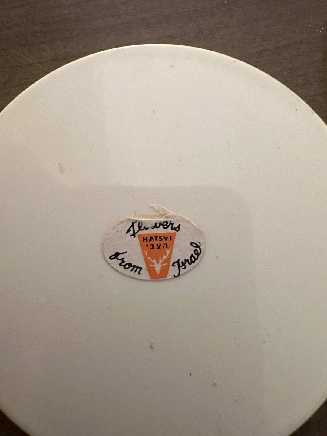 Handmade Botanical Resin Coasters (Set of 6) image indicator(8)