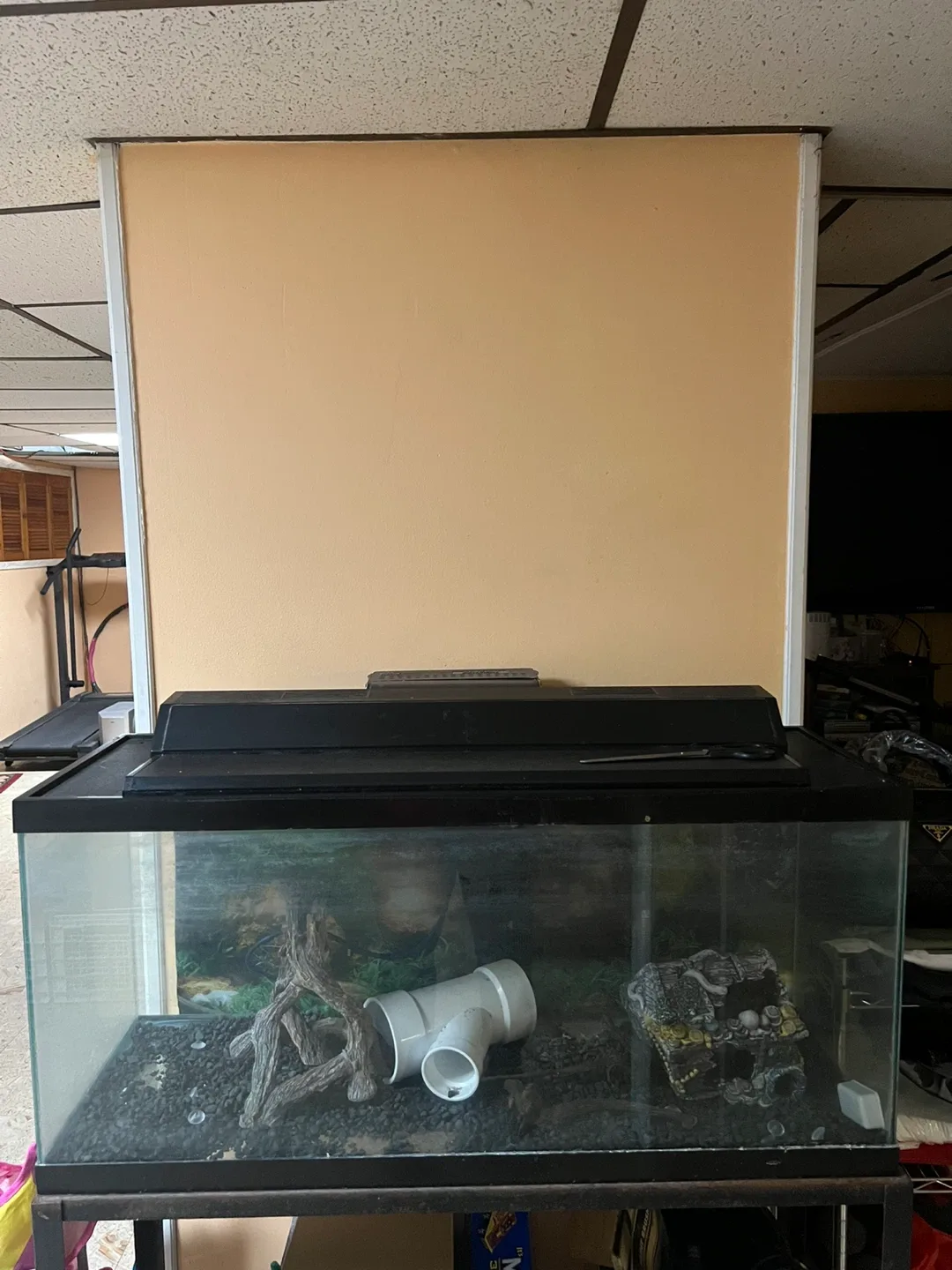 Fish tank