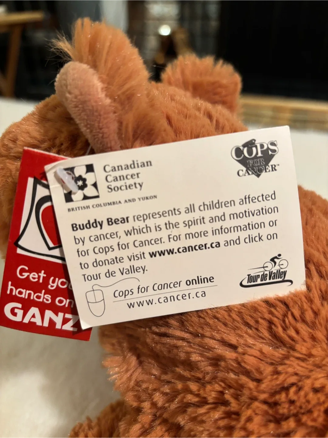 🧸 ✨ “Buddy Bear” - Support & Awareness Teddy Bear ✨🧡 image indicator(4)