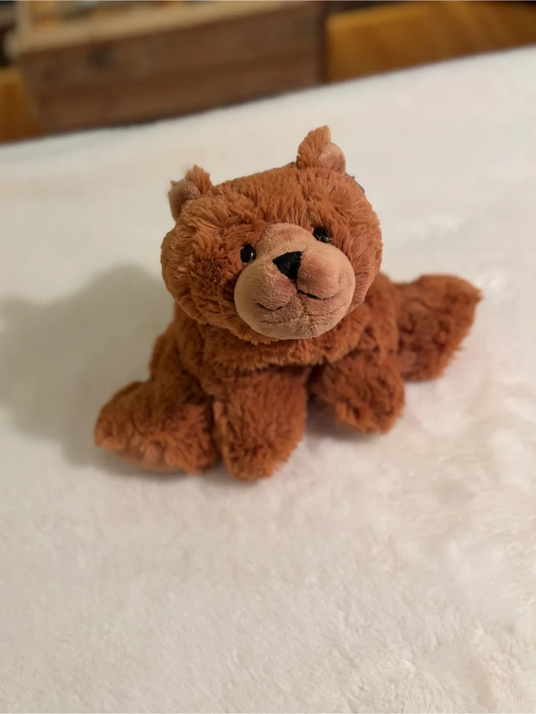 🧸 ✨ “Buddy Bear” - Support & Awareness Teddy Bear ✨🧡 image indicator(9)