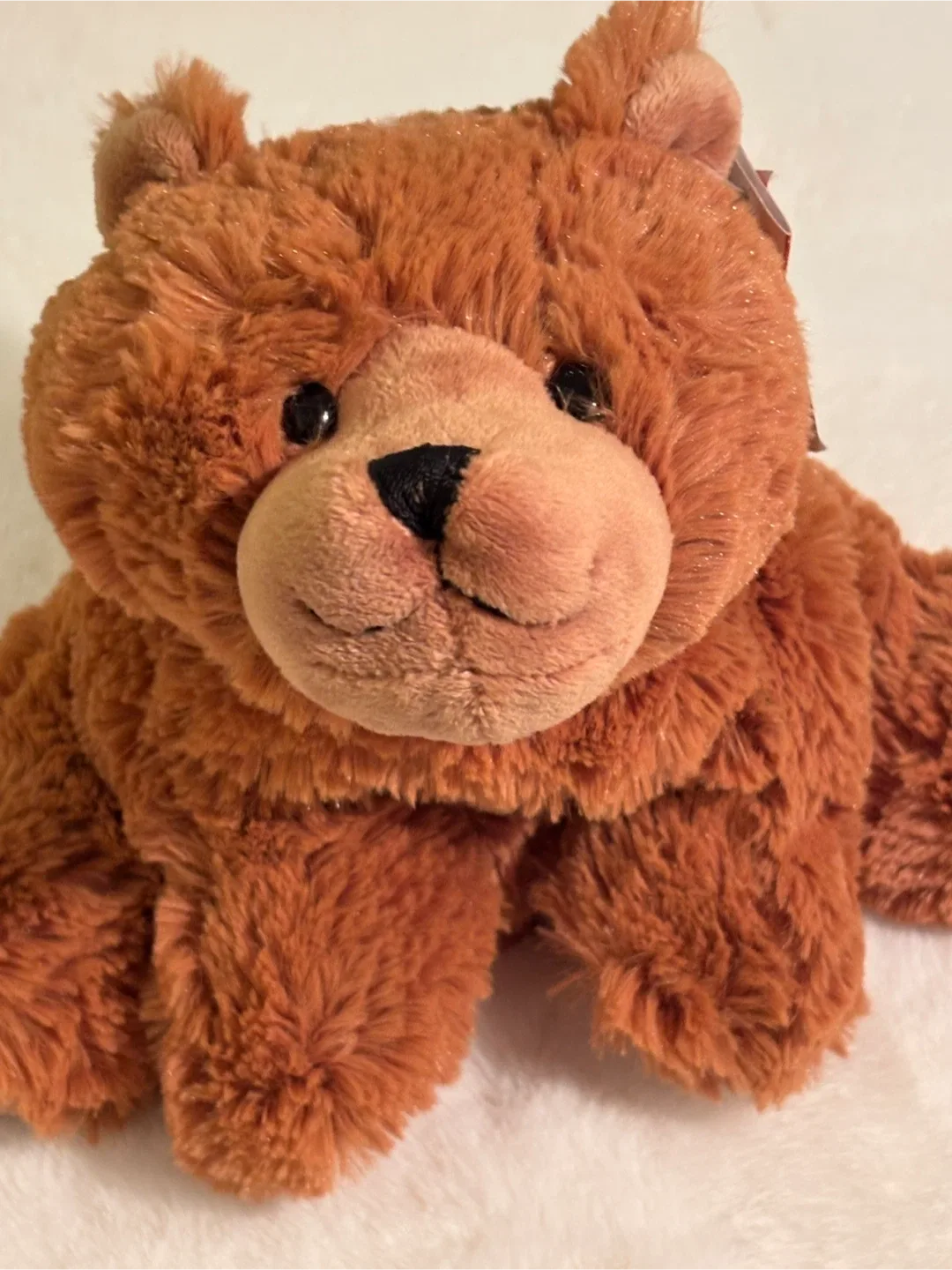 🧸 ✨ “Buddy Bear” - Support & Awareness Teddy Bear ✨🧡 image indicator(8)