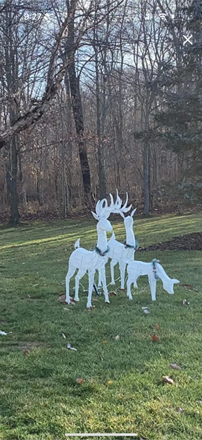 Light Up Christmas Reindeer Family Set image indicator(3)