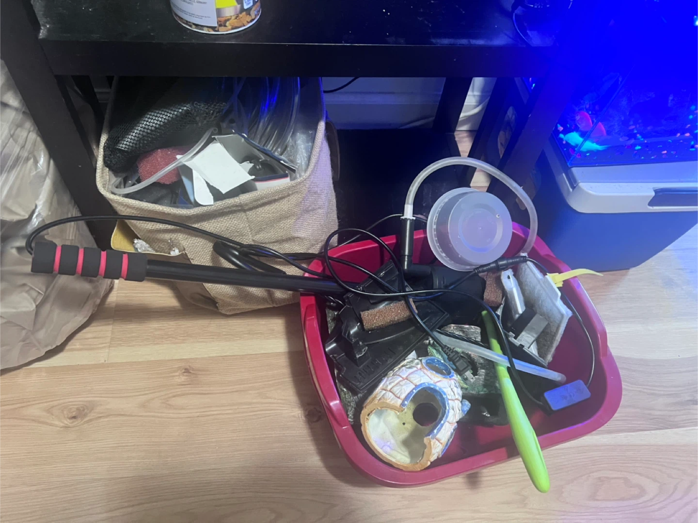Aquarium and Accessories