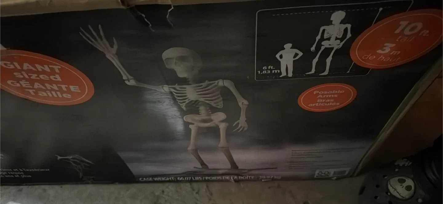 Giant Sized 10 ft. Skeleton image indicator(2)