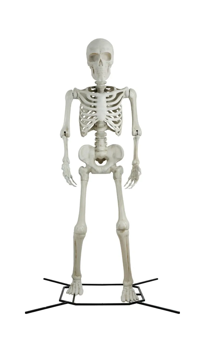 Giant Sized 10 ft. Skeleton