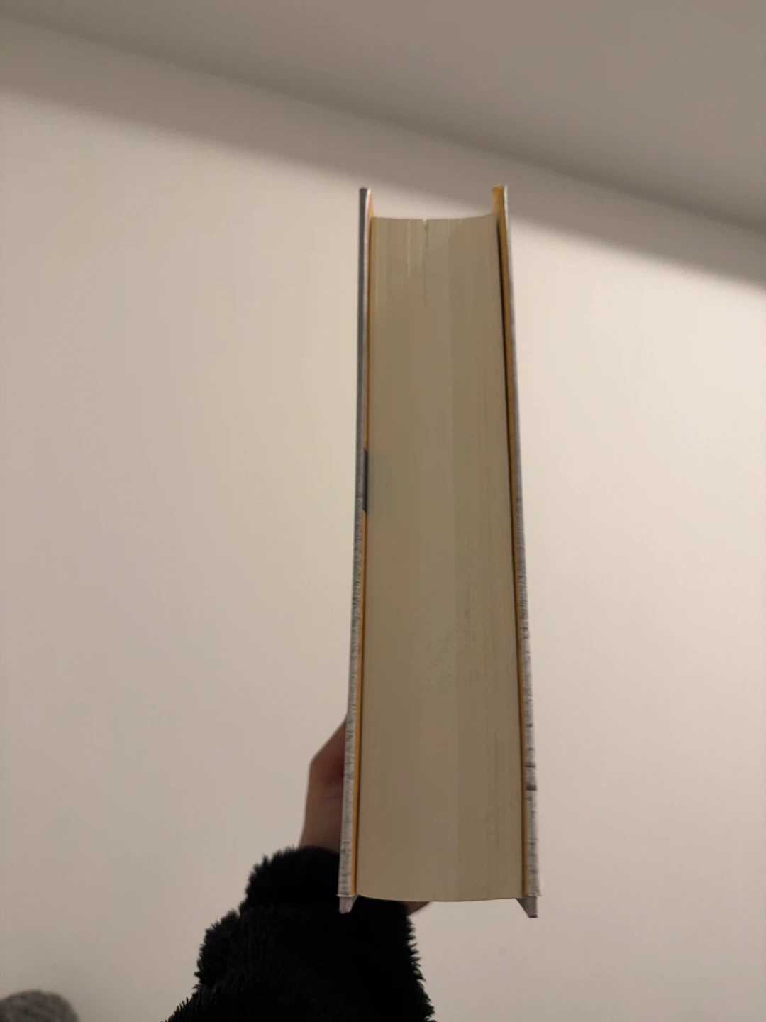 Hardbound-A dance with dragons by George RR Martin - photo 2