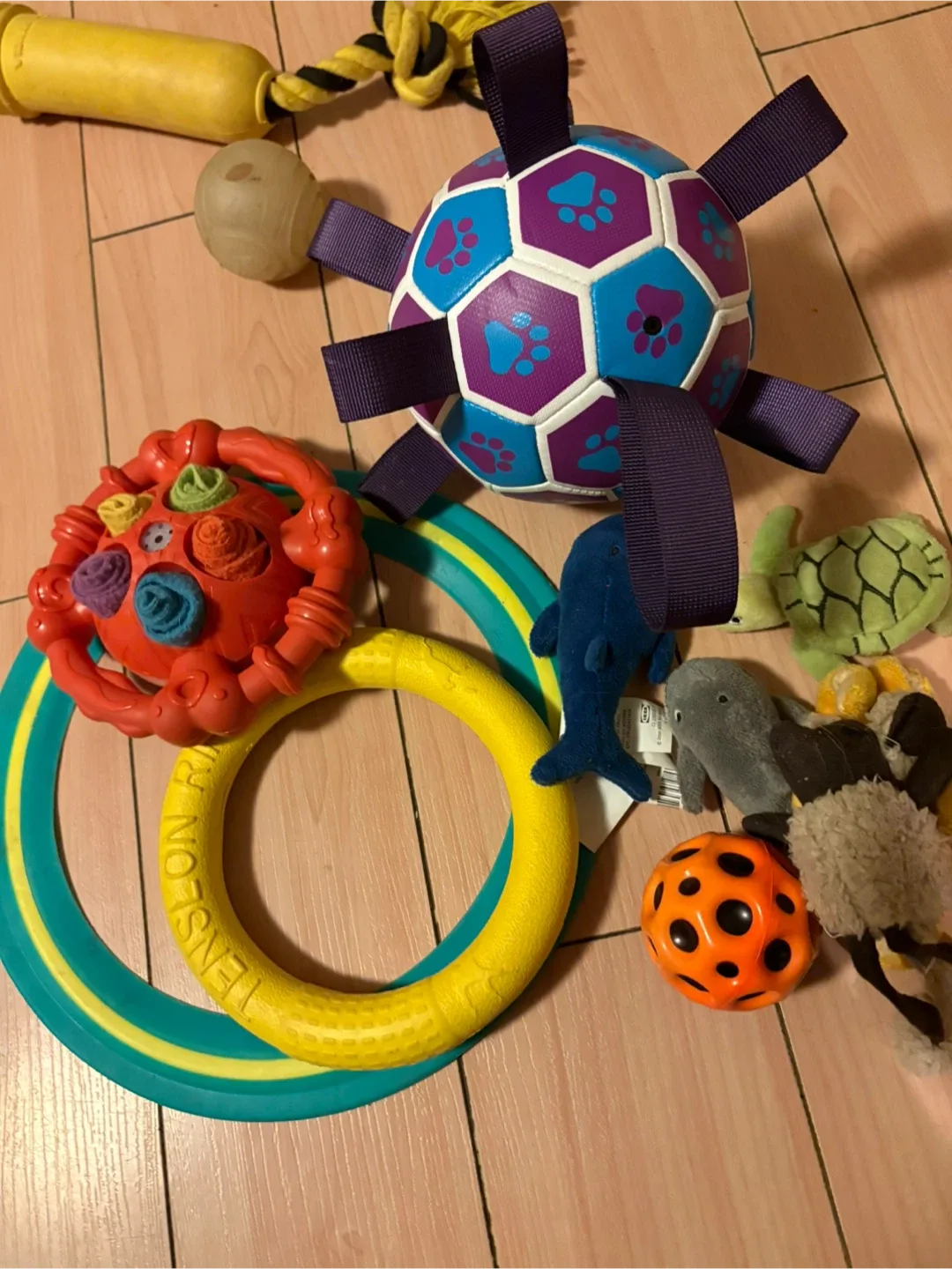 Dog Toys Bundle