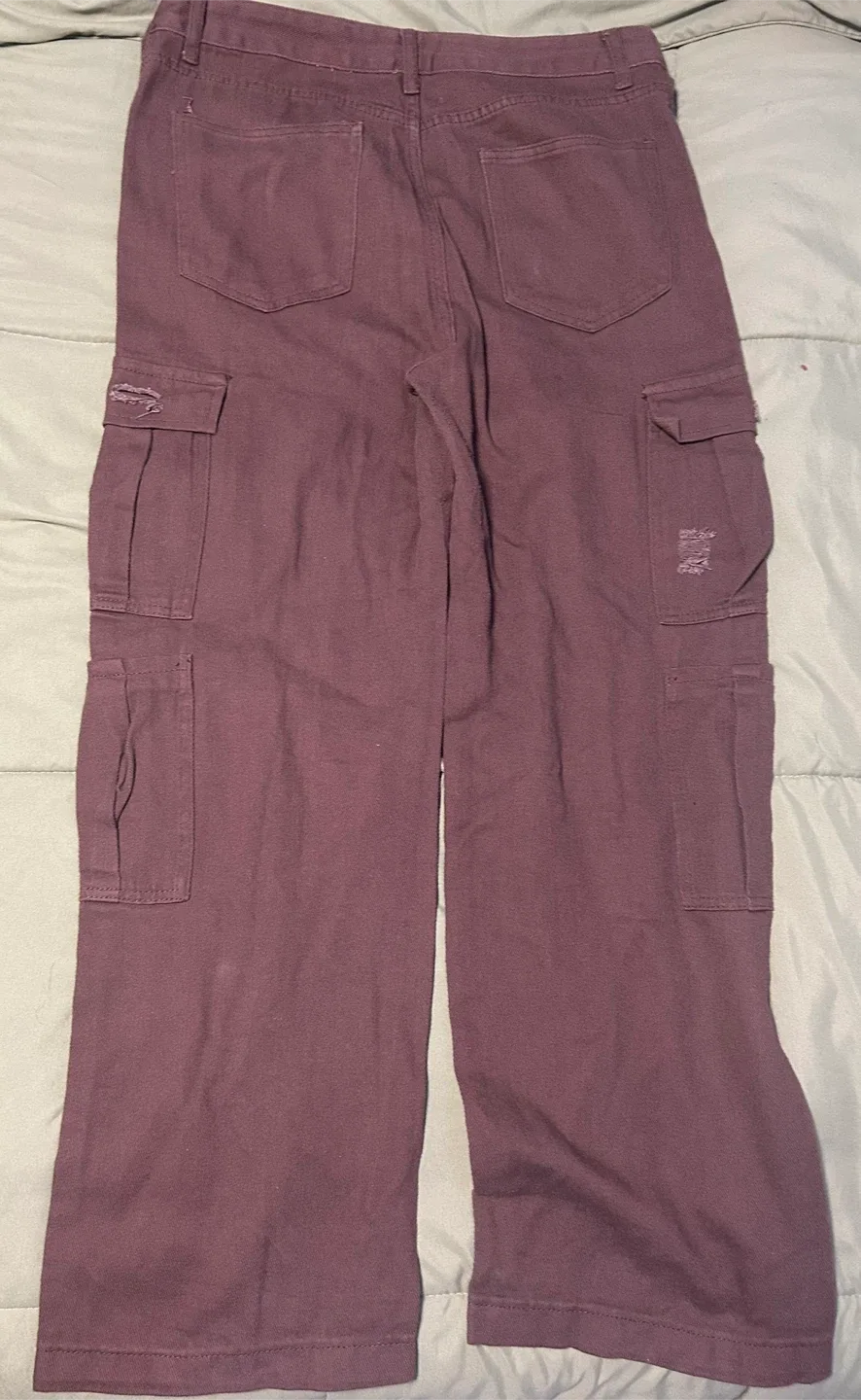 Brown Cargo Pants with Distressed Details image indicator(2)