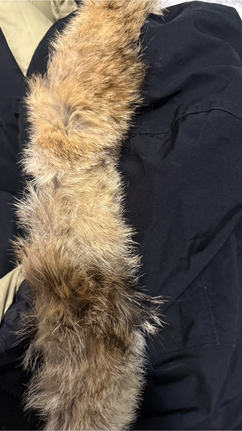 Penfield Black Down Parka - Size S image indicator(7)