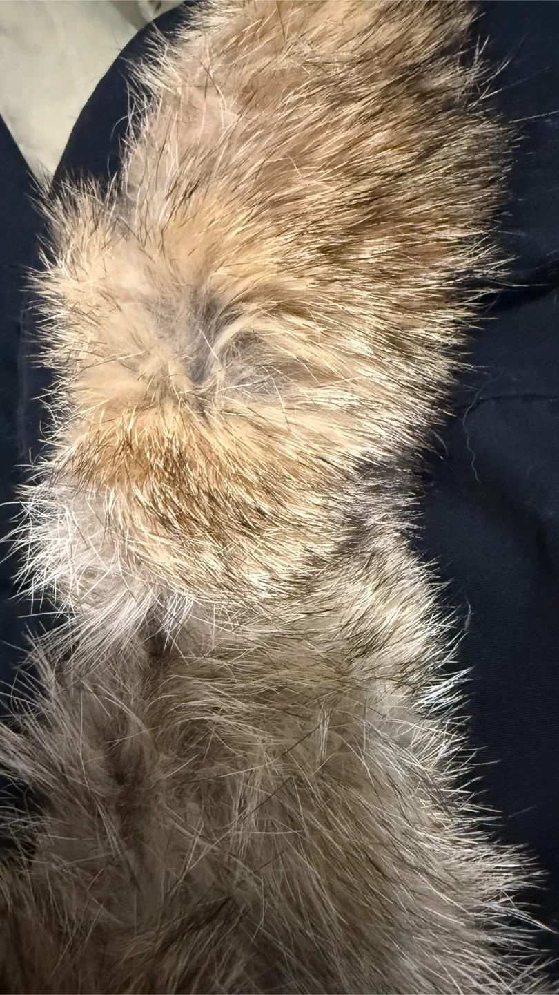 Penfield Black Down Parka - Size S image indicator(8)