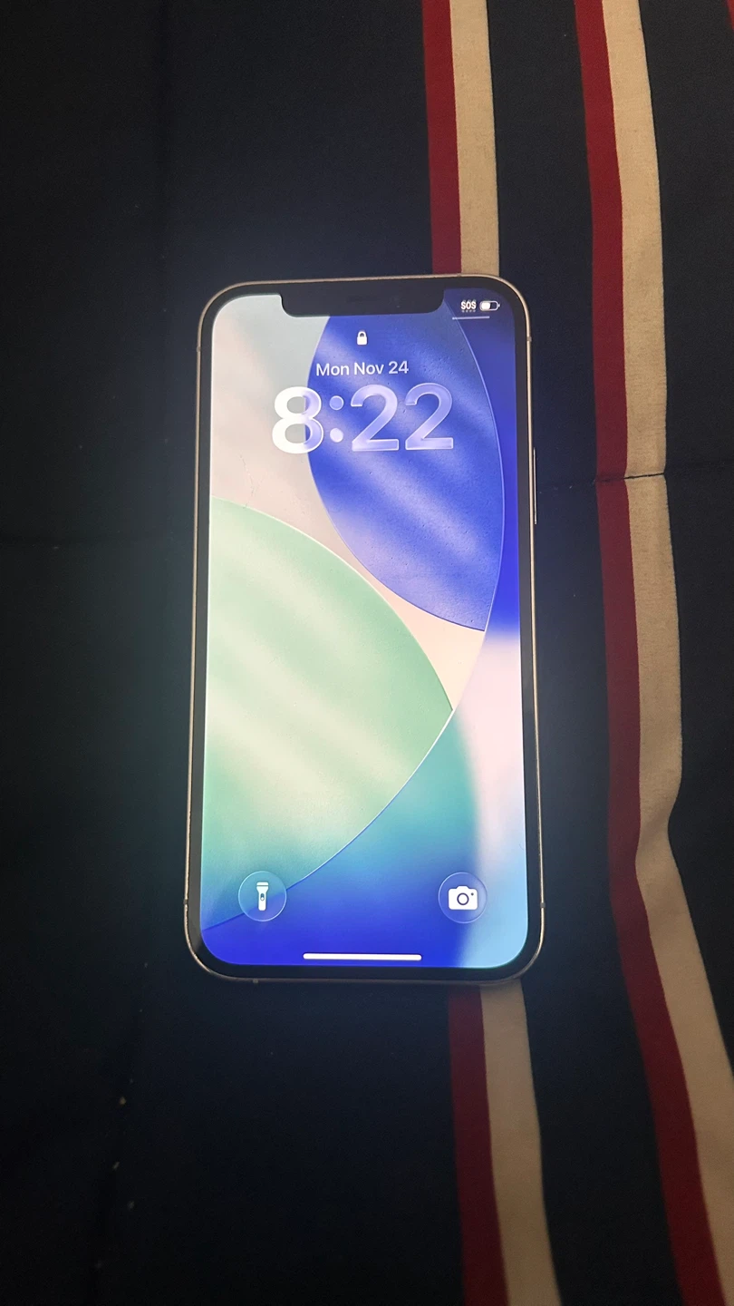 iPhone 12 Pro Max - Silver
