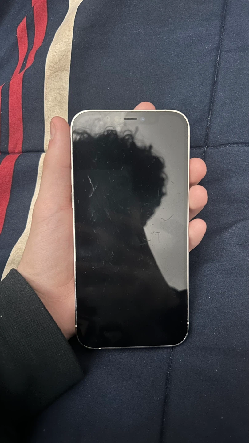 iPhone 12 Pro Max - Silver - photo 4
