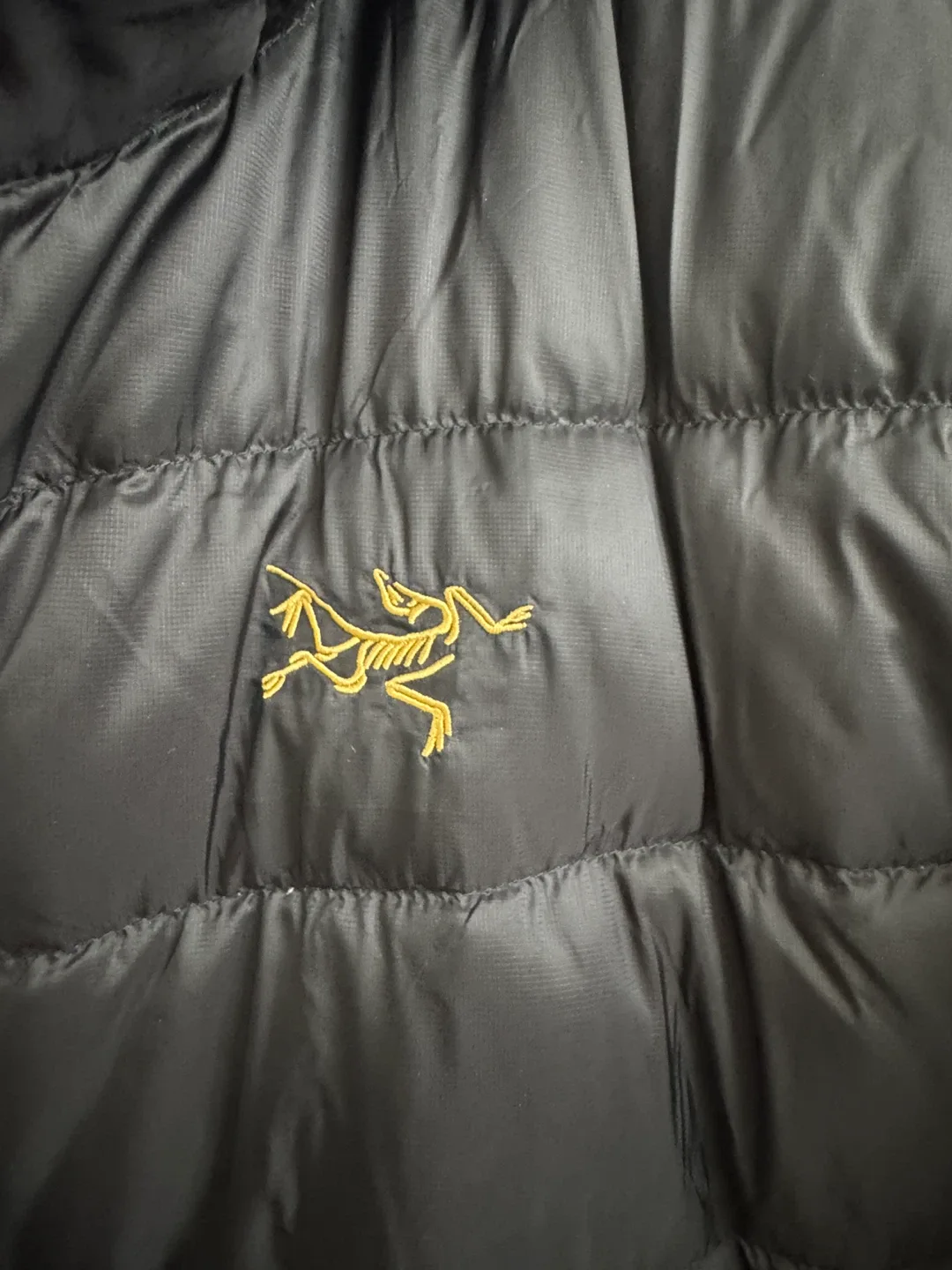 Arc'teryx 24K Gold Thorium Hoody Men's Black, Size M image indicator(2)