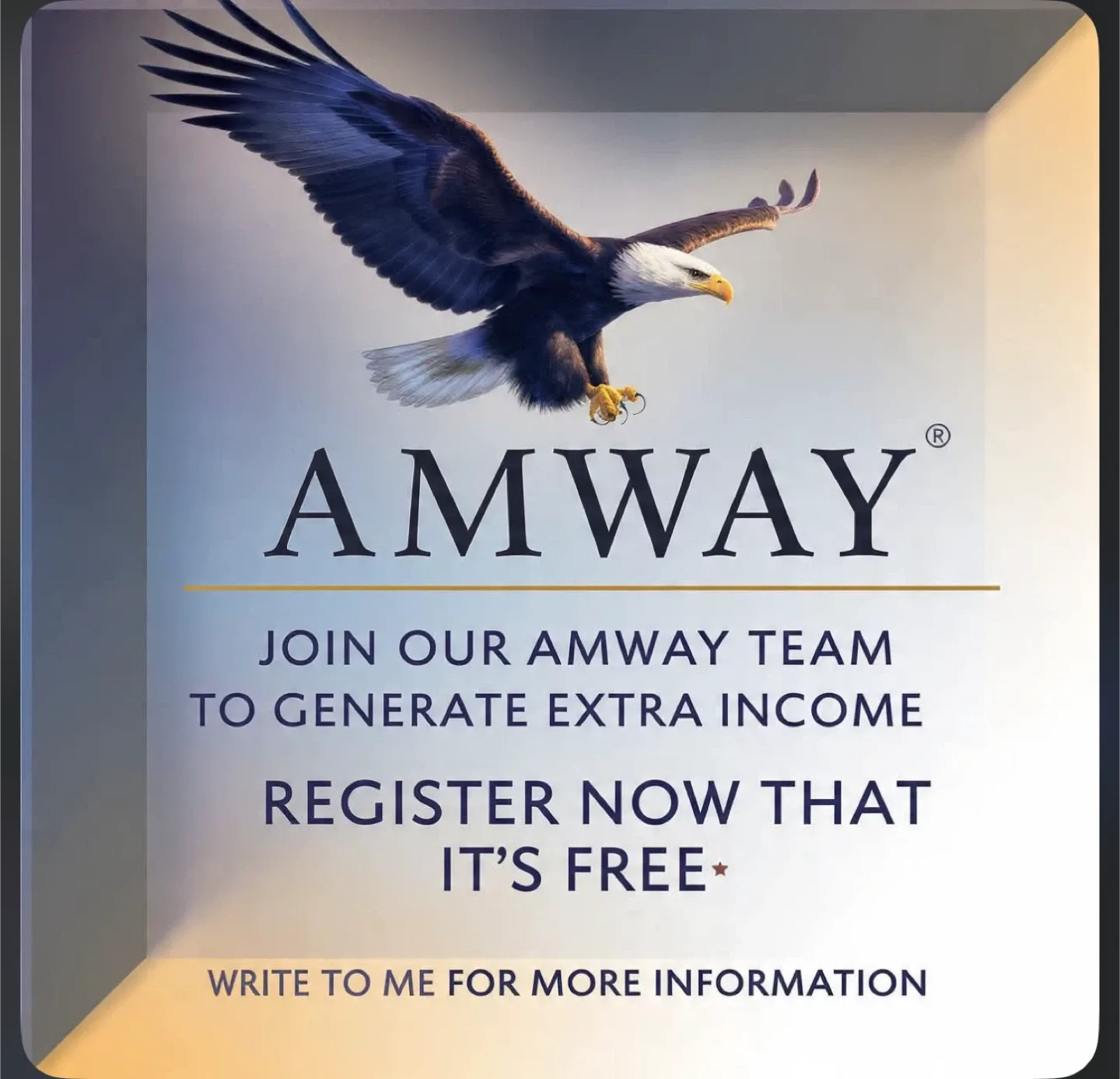 Amway una corporación de productos de prestigio