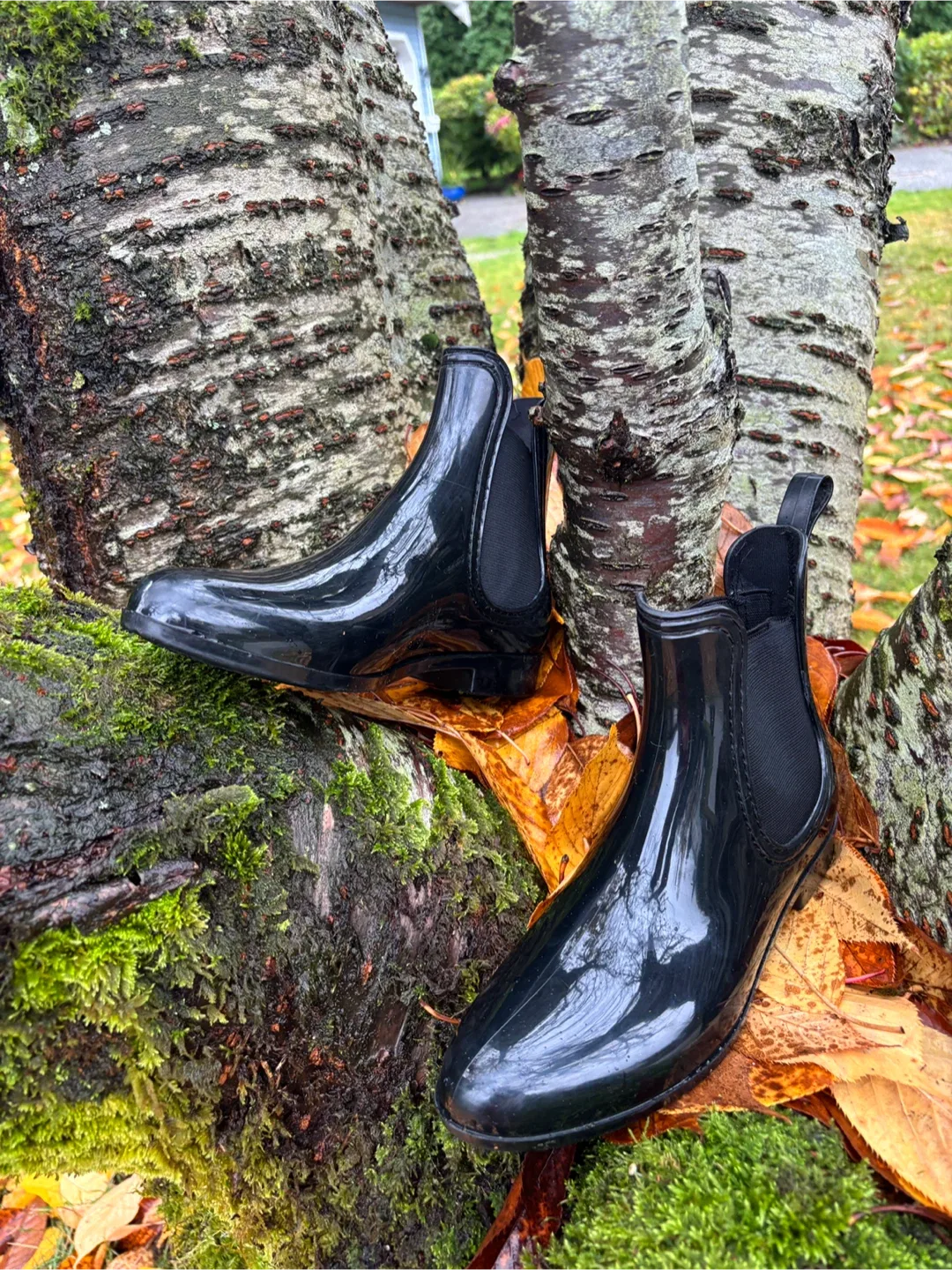 Women’s Black Ankle Gum Boots ☔️ image indicator(2)