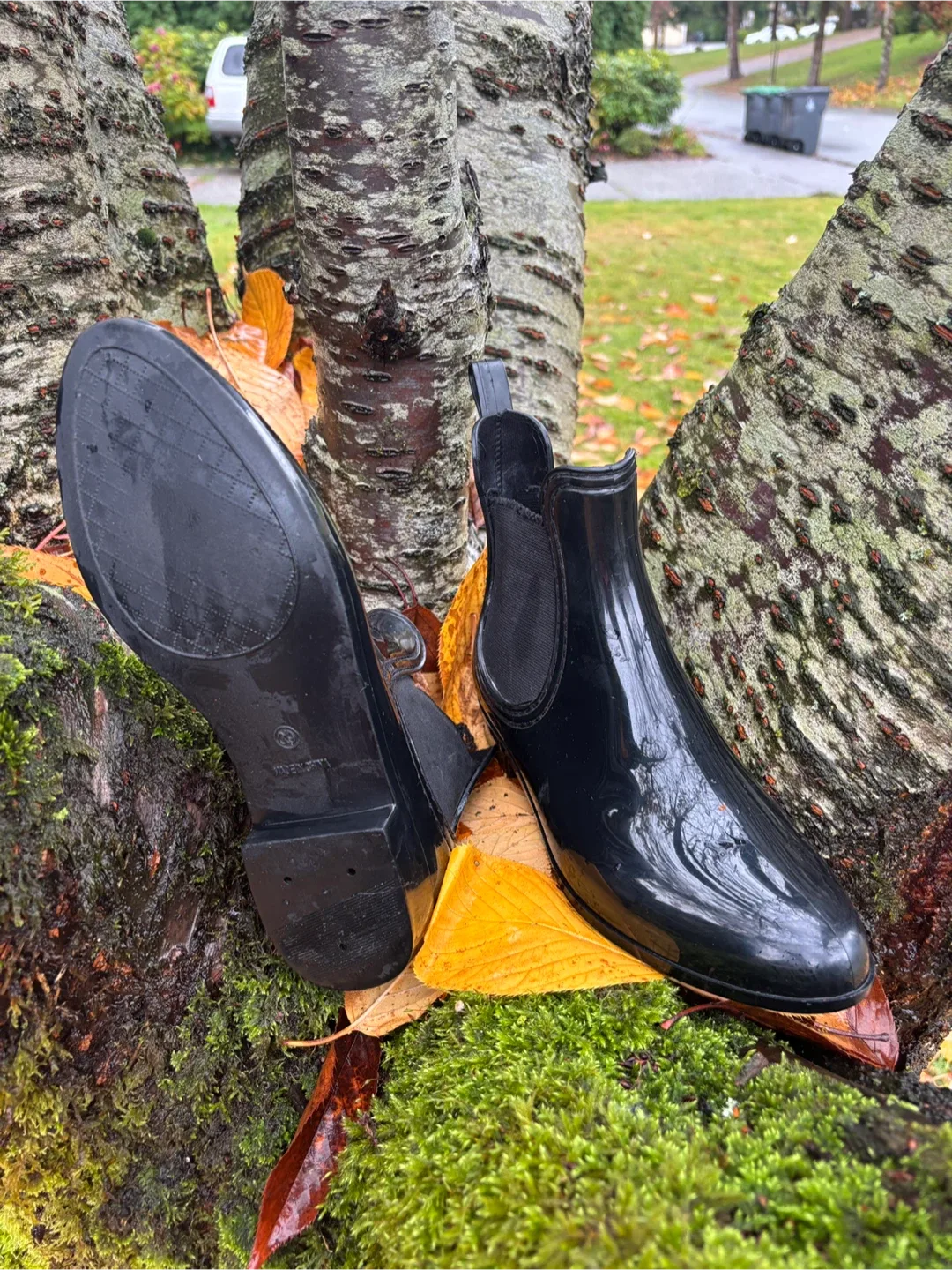 Women’s Black Ankle Gum Boots ☔️ image indicator(5)
