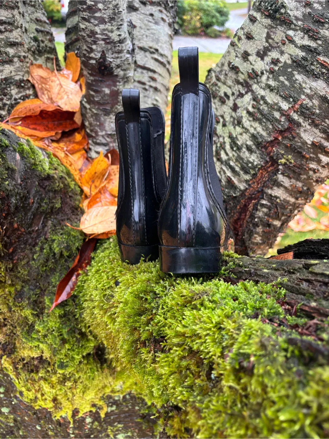 Women’s Black Ankle Gum Boots ☔️ image indicator(6)