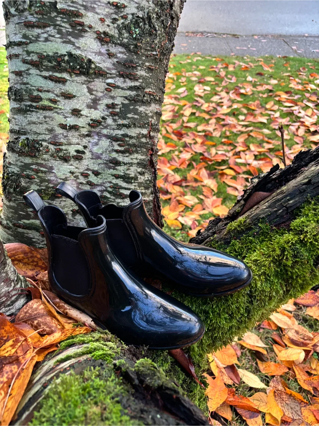 Women’s Black Ankle Gum Boots ☔️ image indicator(8)