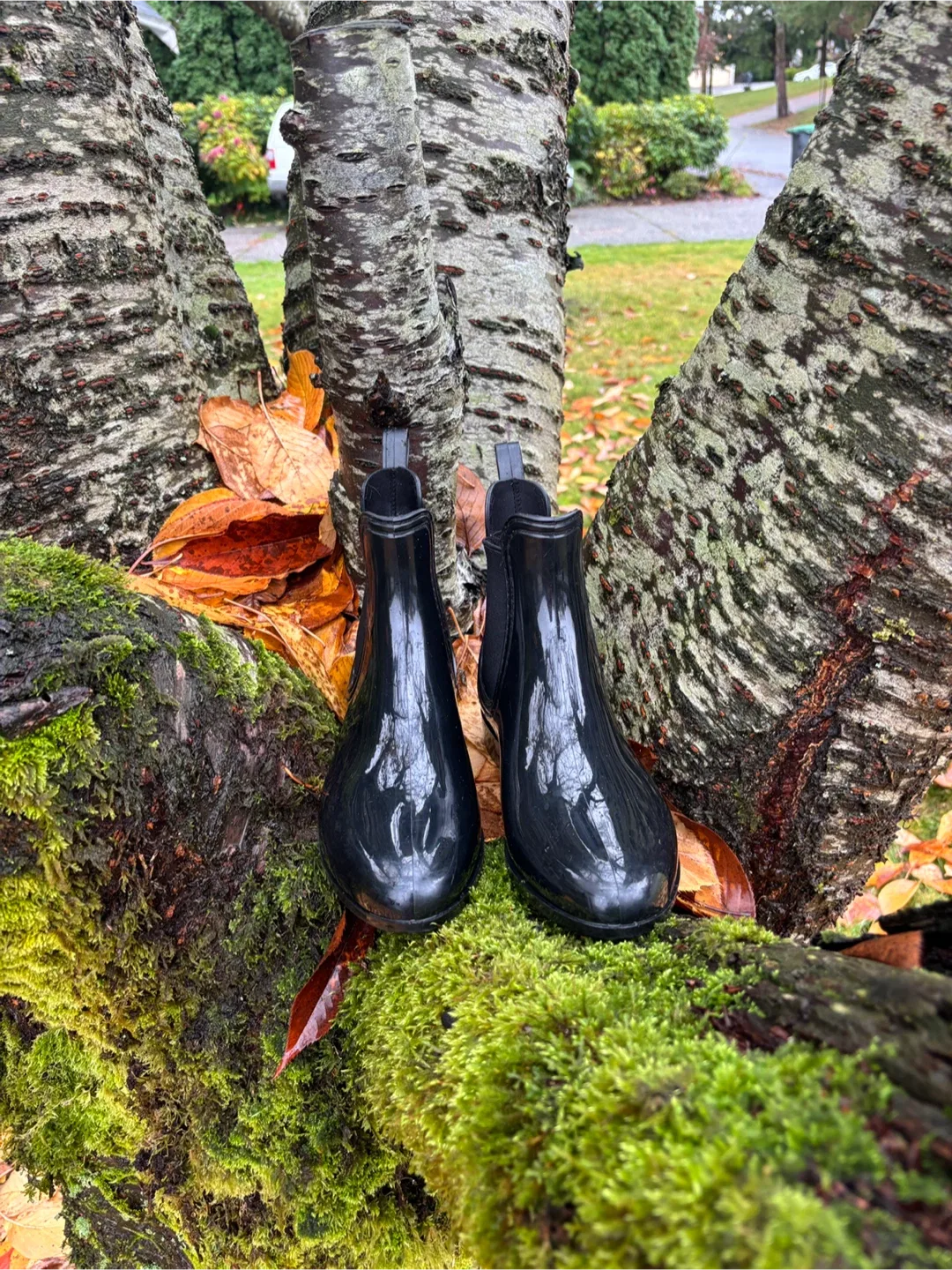 Women’s Black Ankle Gum Boots ☔️ image indicator(9)