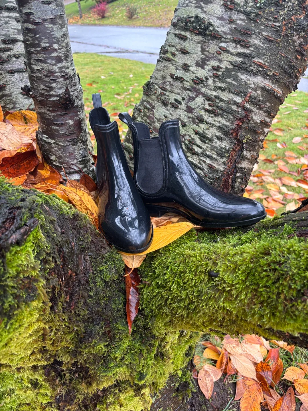 Women’s Black Ankle Gum Boots ☔️ image indicator(3)