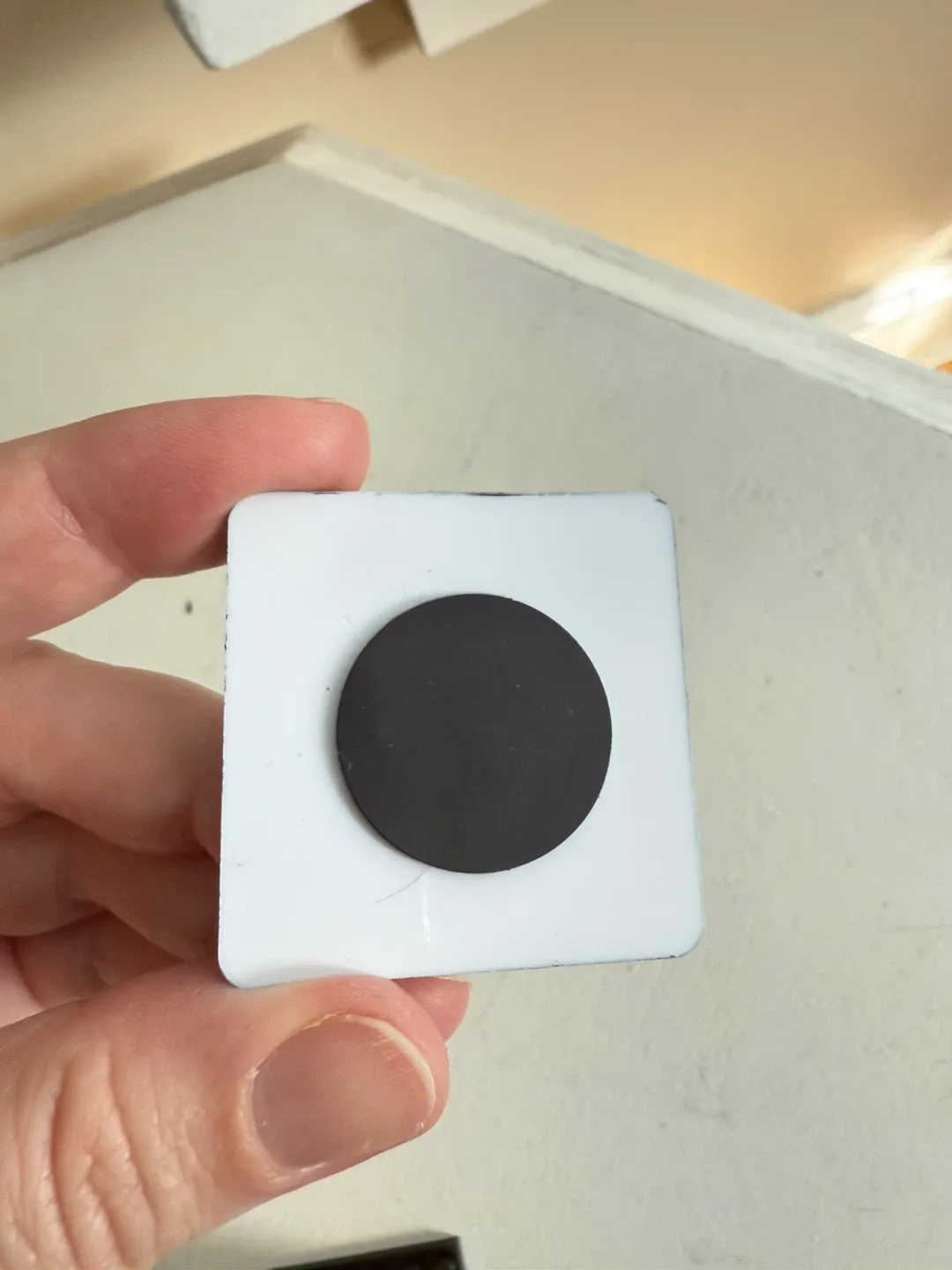 Handpainted Belize reef magnet image indicator(2)