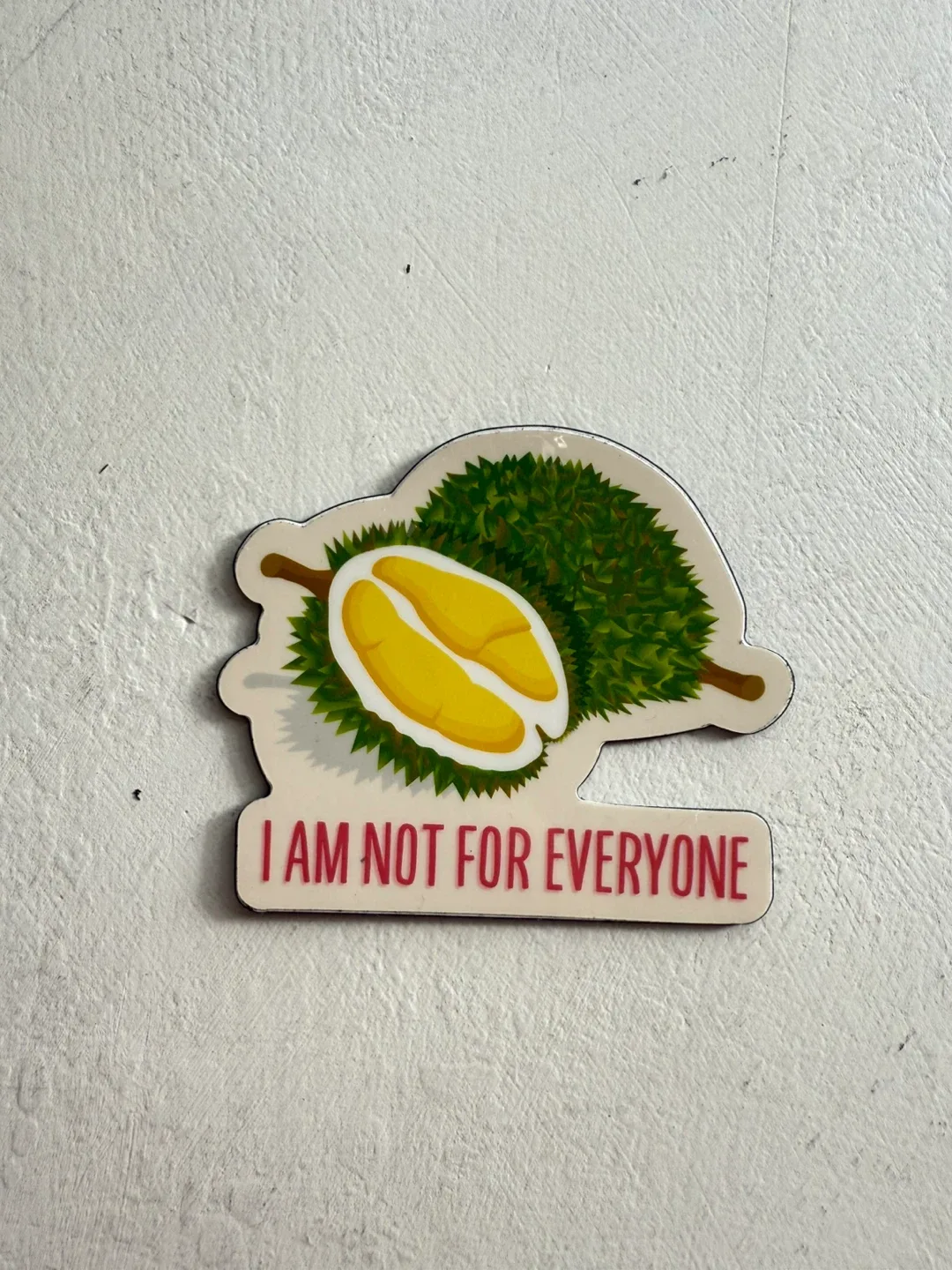 Funny Durian Magnet - YVR artist