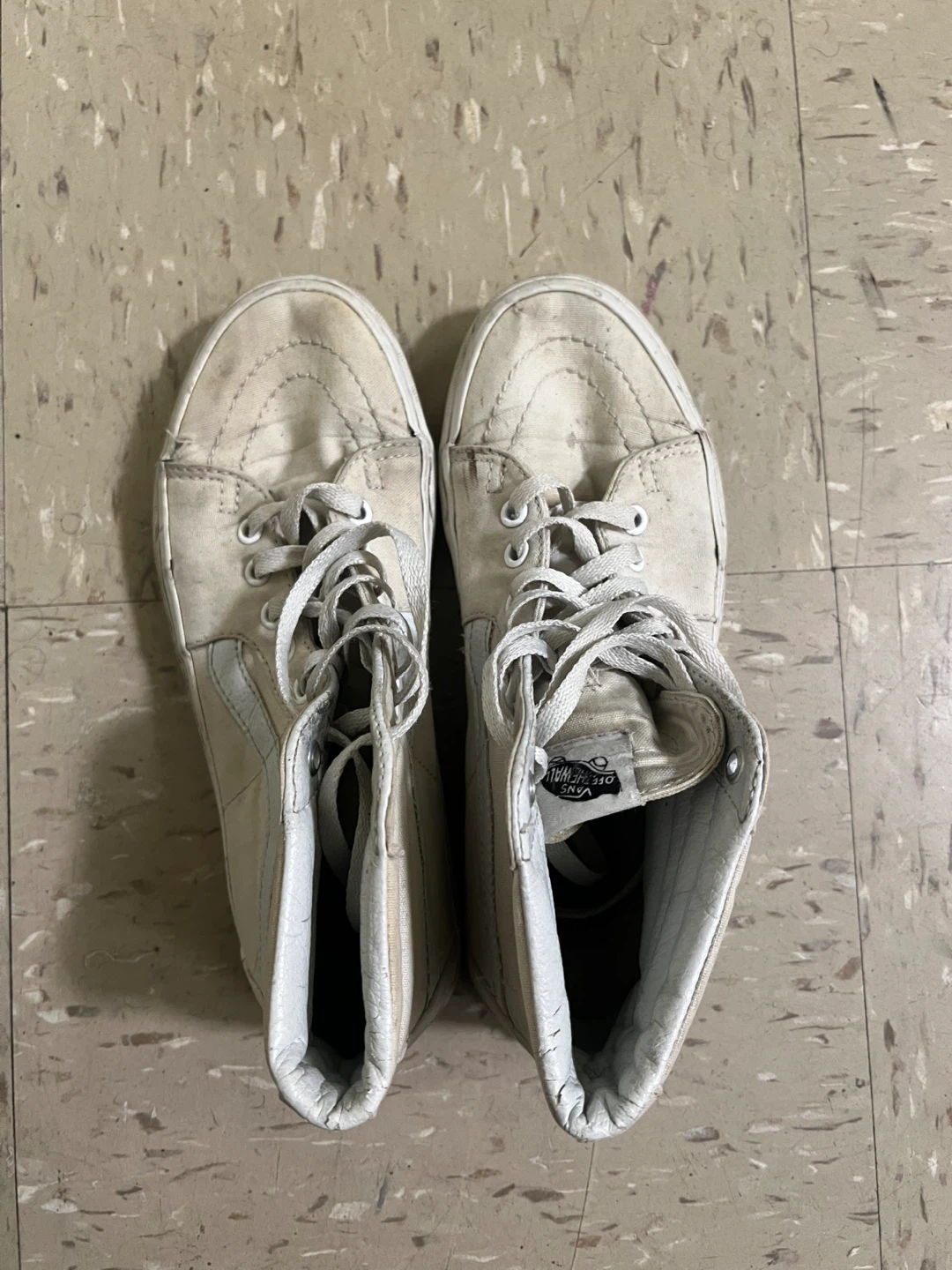 SIZE 6.5M Vans - photo 3